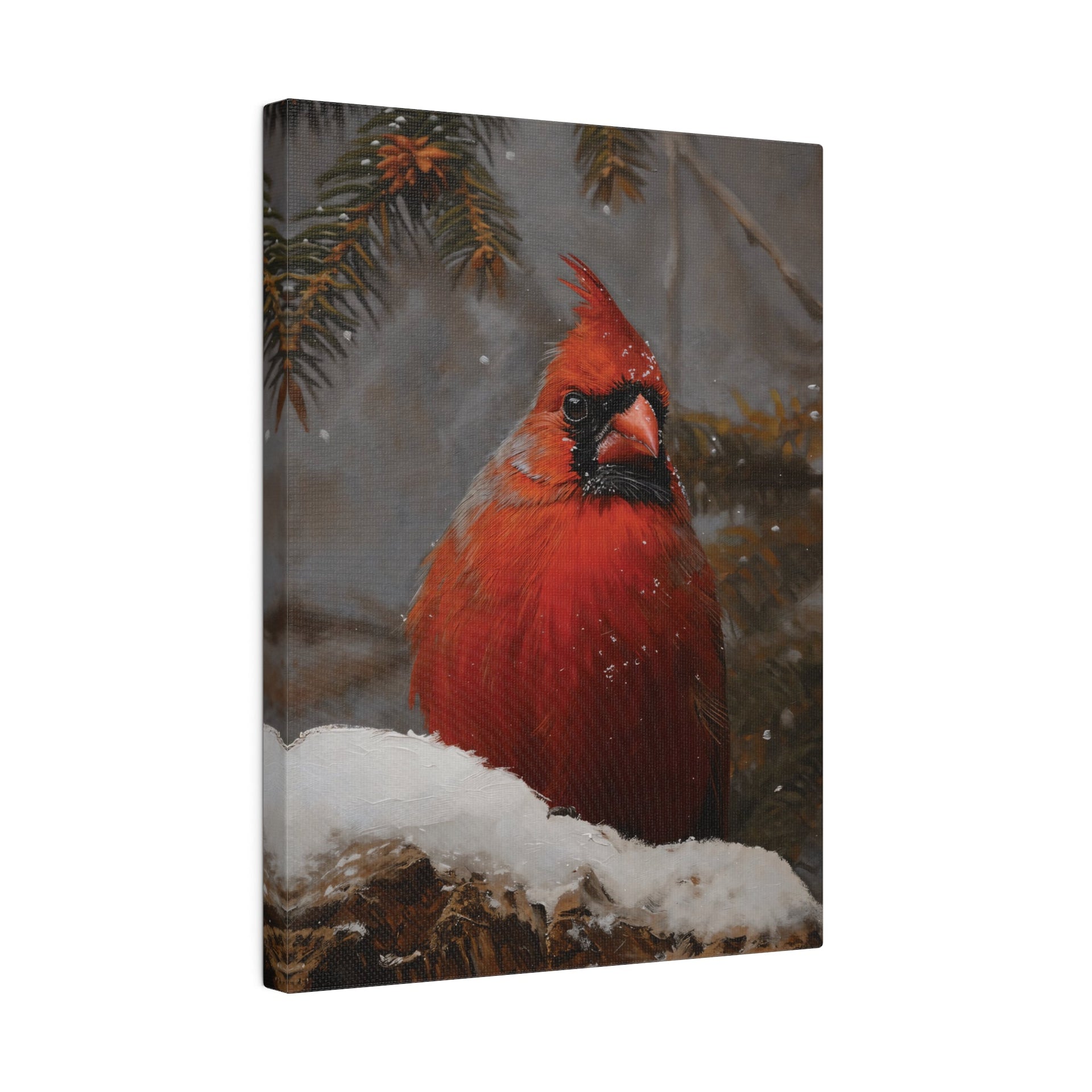 Snowfall Cardinal