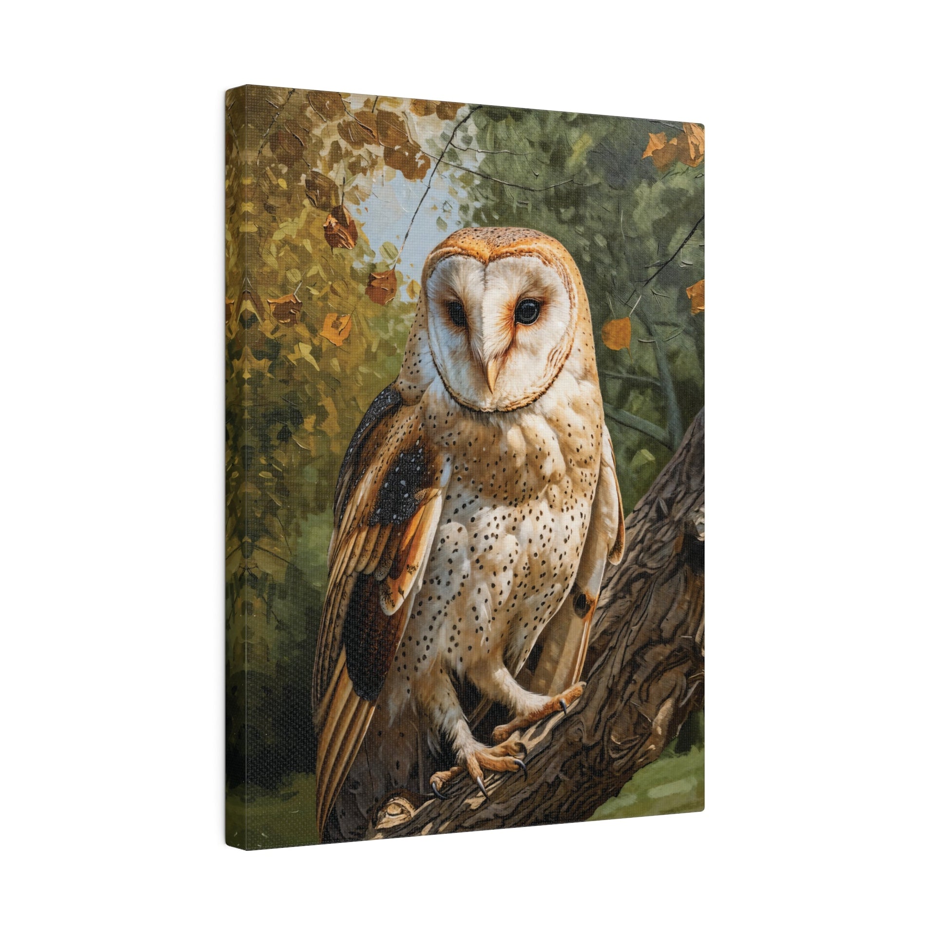 Woodland Owl